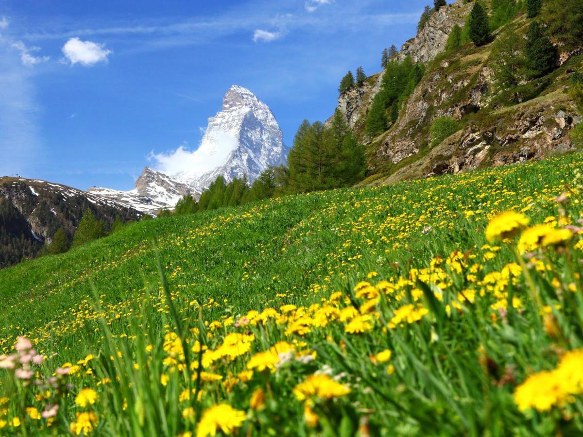 Apartment Silence-1 By Interhome Zermatt Exterior foto